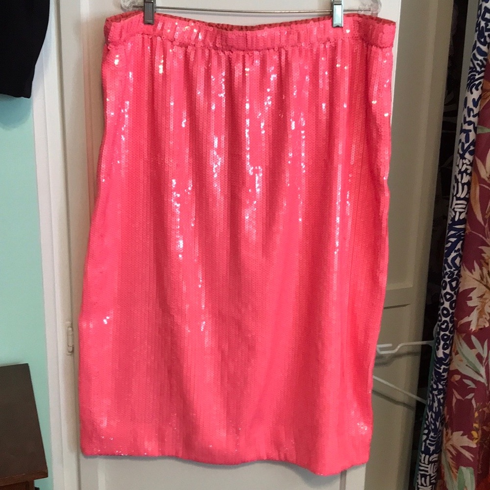 J. Crew size XXL gorgeous full sequin skirt